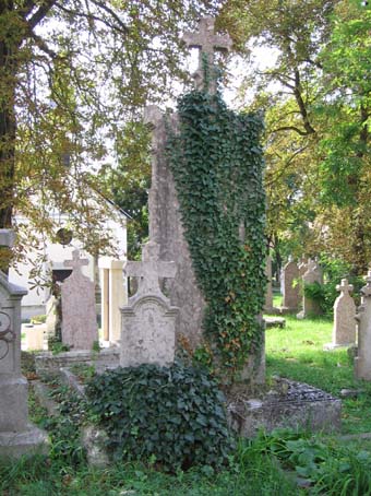 View larger image View larger image