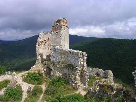 View larger image View larger image