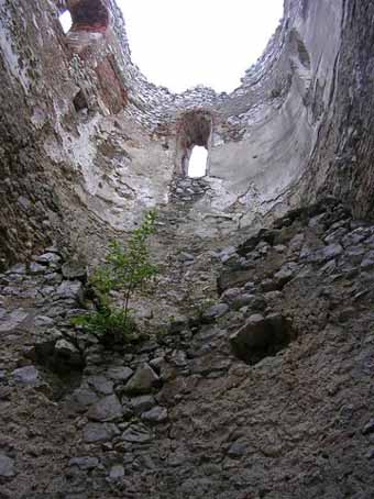 View larger image View larger image