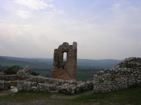 View larger image View larger image