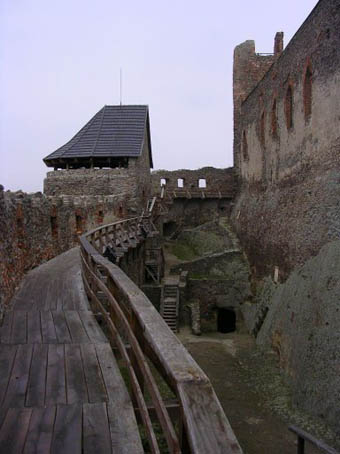 View larger image View larger image