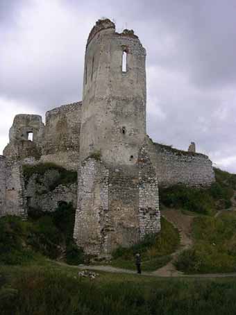 View larger image View larger image