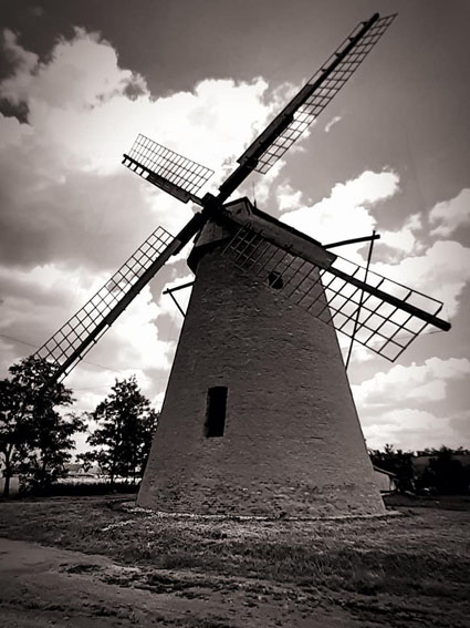 View larger image View larger image