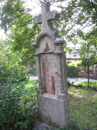 View larger image View larger image