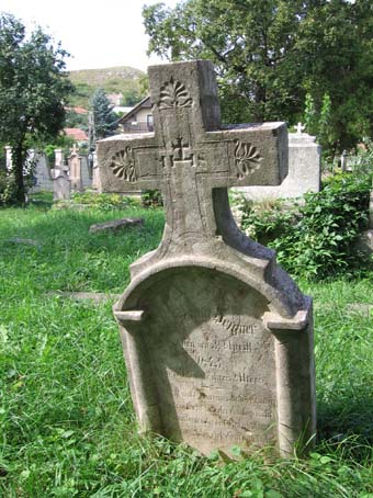 View larger image View larger image