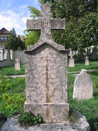 View larger image View larger image