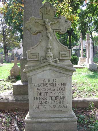 View larger image View larger image