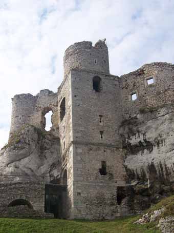 View larger image View larger image