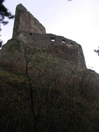 View larger image View larger image