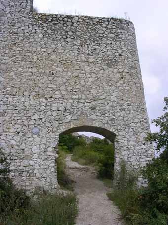 View larger image View larger image