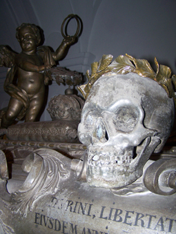 View larger image View larger image