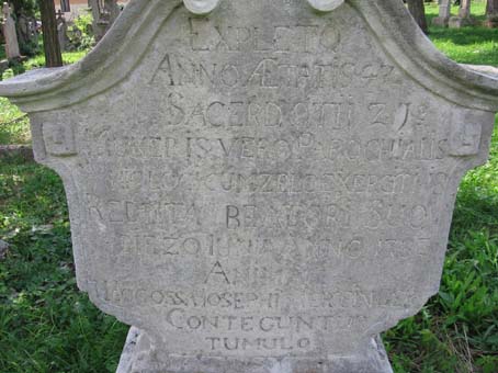 View larger image View larger image