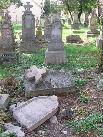 View larger image View larger image