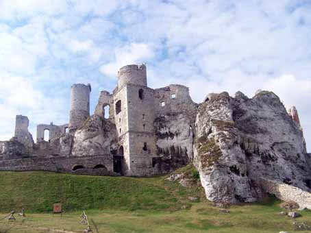 View larger image View larger image