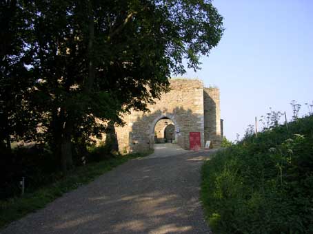 View larger image View larger image