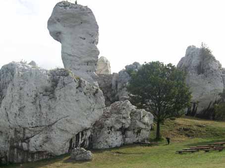 View larger image View larger image