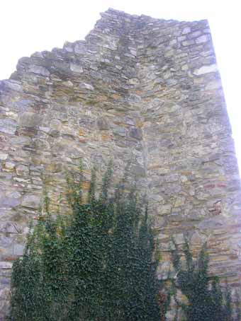 View larger image View larger image