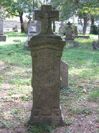 View larger image View larger image