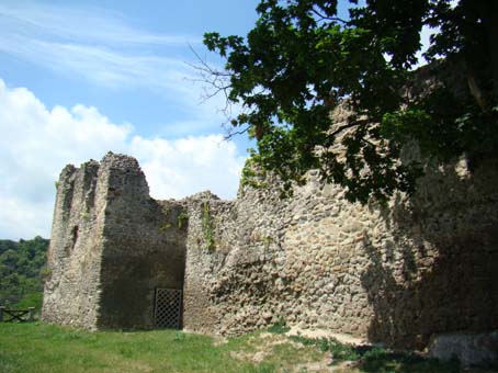 View larger image View larger image