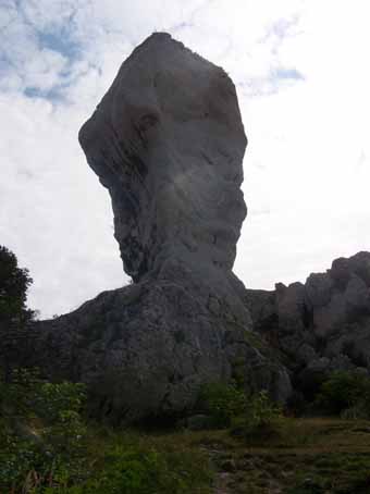 View larger image View larger image