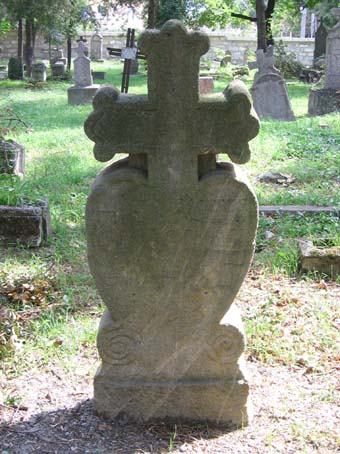 View larger image View larger image