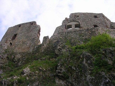 View larger image View larger image