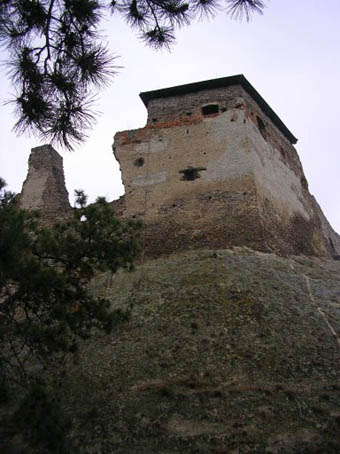 View larger image View larger image