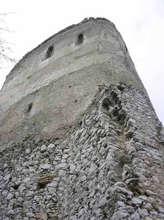 View larger image View larger image