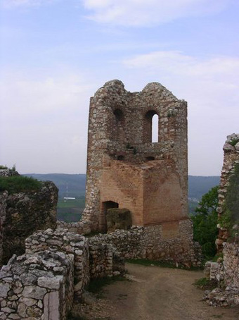 View larger image View larger image