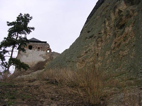 View larger image View larger image