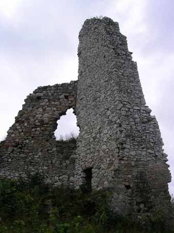 View larger image View larger image