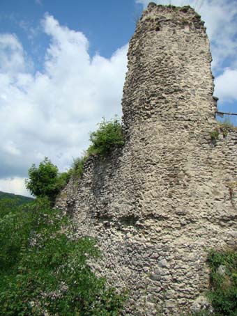 View larger image View larger image