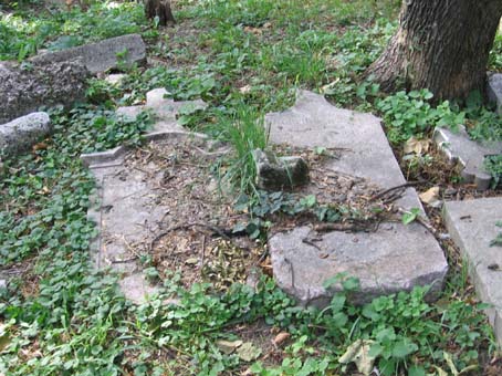 View larger image View larger image