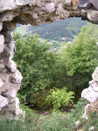 View larger image View larger image