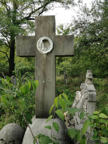 View larger image View larger image