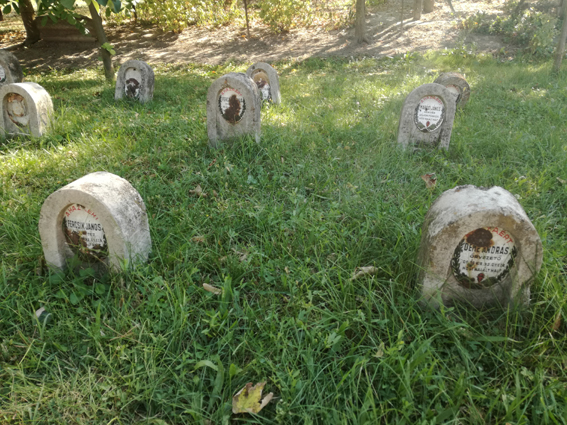 View larger image View larger image