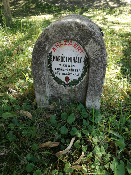 View larger image View larger image