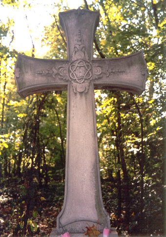 View larger image View larger image