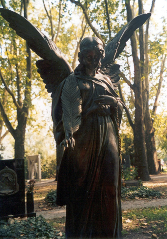 View larger image View larger image