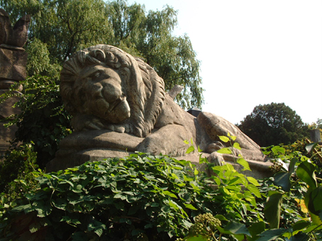 View larger image View larger image