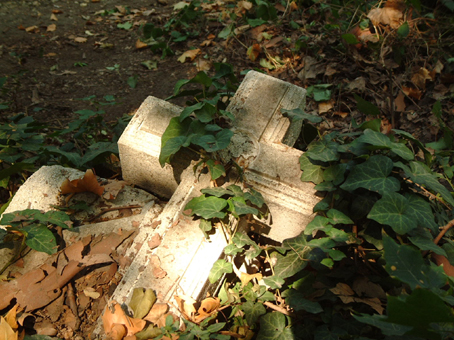 View larger image View larger image