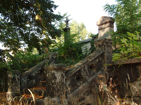 View larger image View larger image